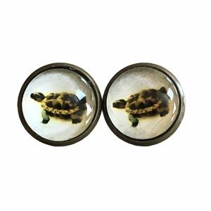3 for 15🎀 turtle bronze tone earrings